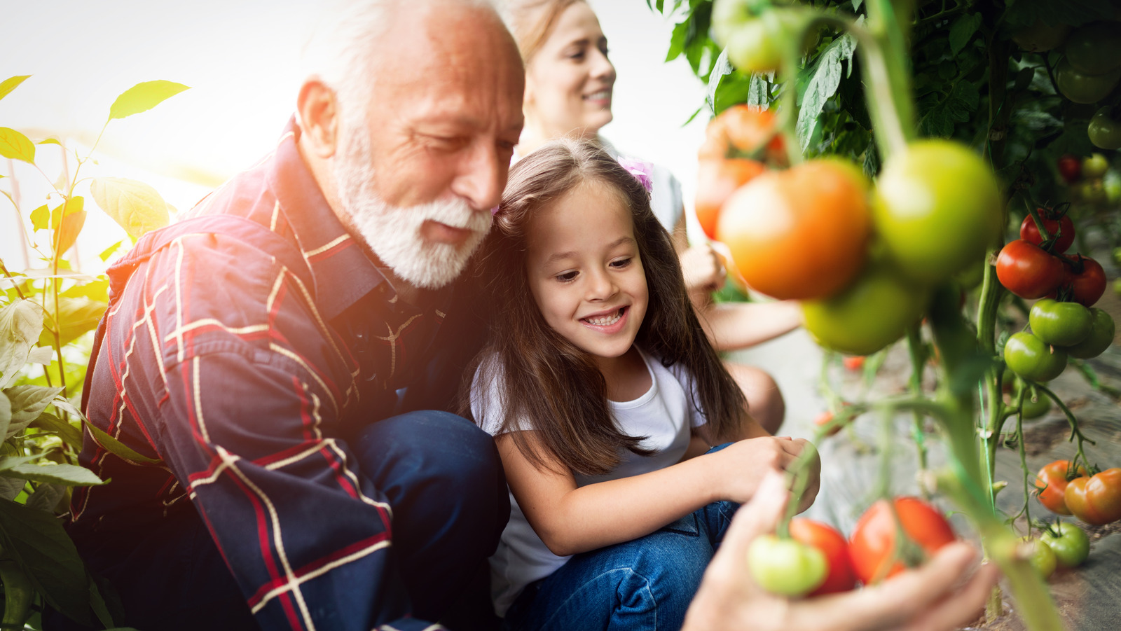 https://www.housedigest.com/img/gallery/10-reasons-why-gardening-is-good-for-your-mental-health/l-intro-1675173282.jpg