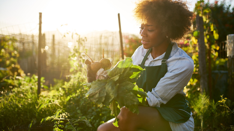 Woman tending beets in garden