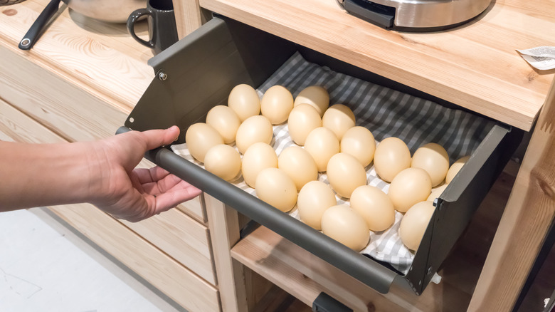 Egg holder in kitchen