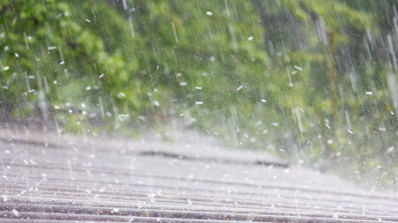 roof during storm 