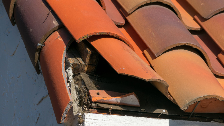 broken roof shingles 