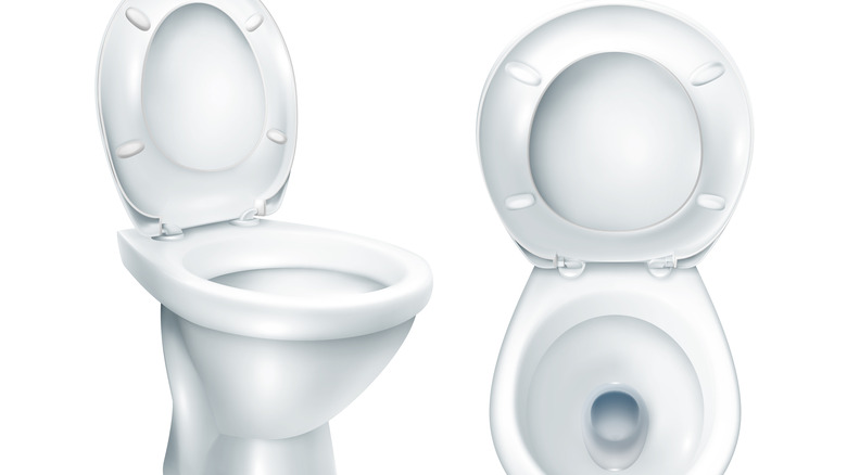 toilet on white background