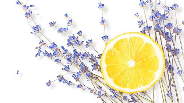 Dried lavender and sliced lemons