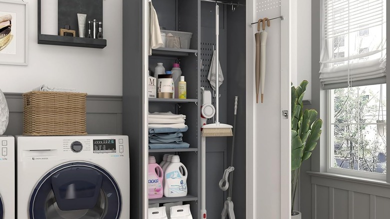 A storage cabinet with cleaning supplies in a laundry room