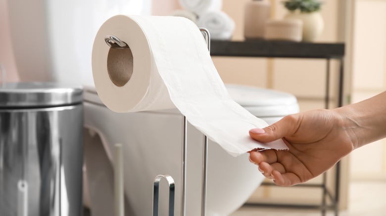 standing toilet paper holder