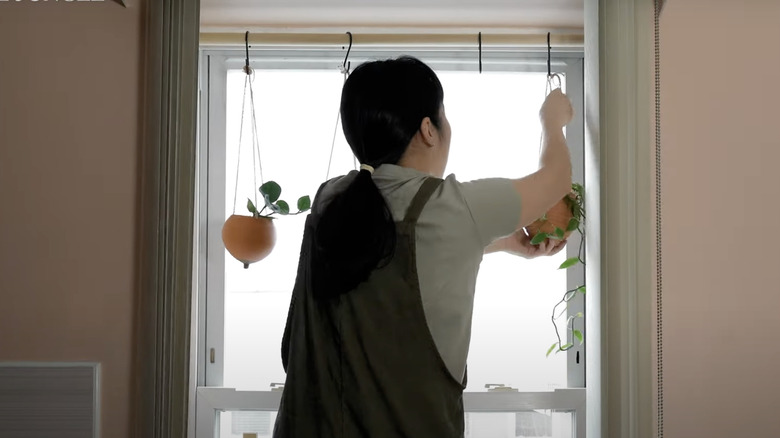 woman hanging plants on curtain rod