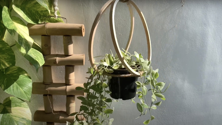 embroidery hoop plant hanger