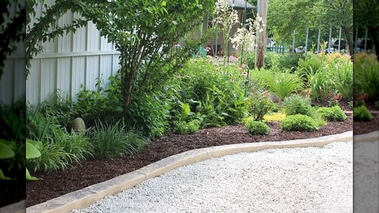 Gravel driveway with concrete edging to separate it from the garden.