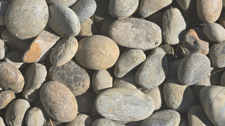 Assortment of rounded river rocks to use for gravel driveway edging.