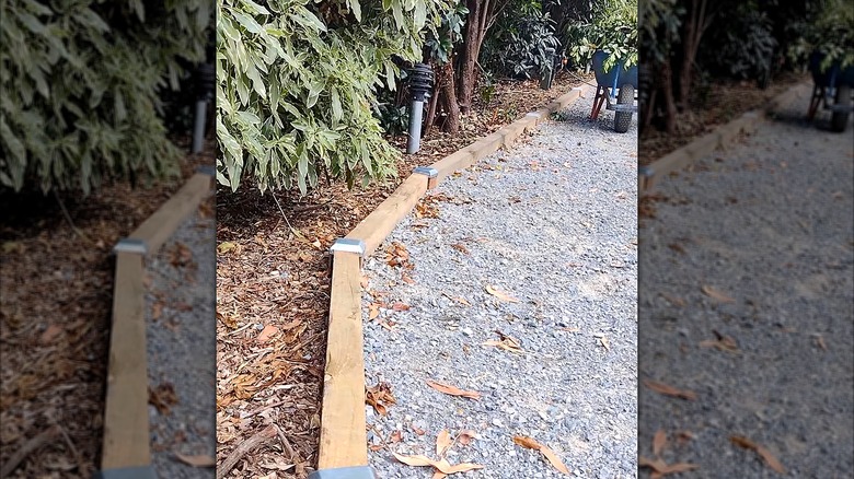 Pine gravel driveway edging next to some trees.