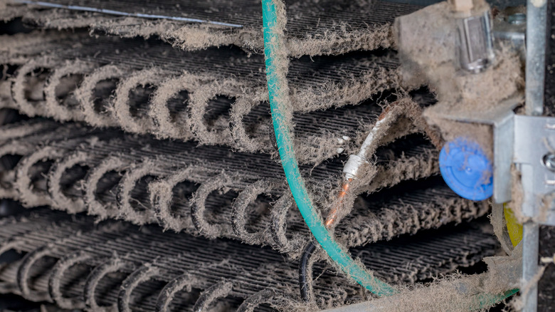 Refrigerator with dirty coils 