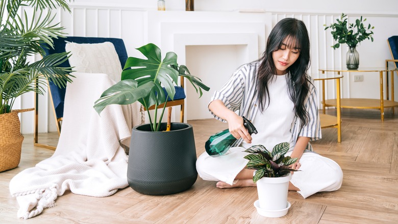 person watering plants