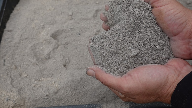 Person holding wood ash