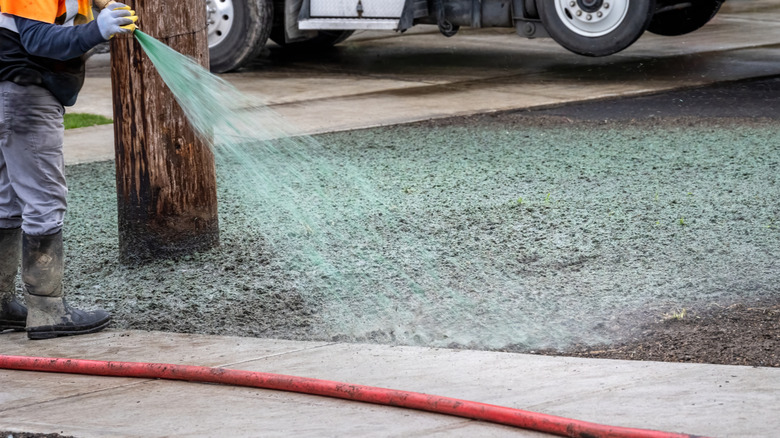 Person hydroseeding the ground for lawn establishment