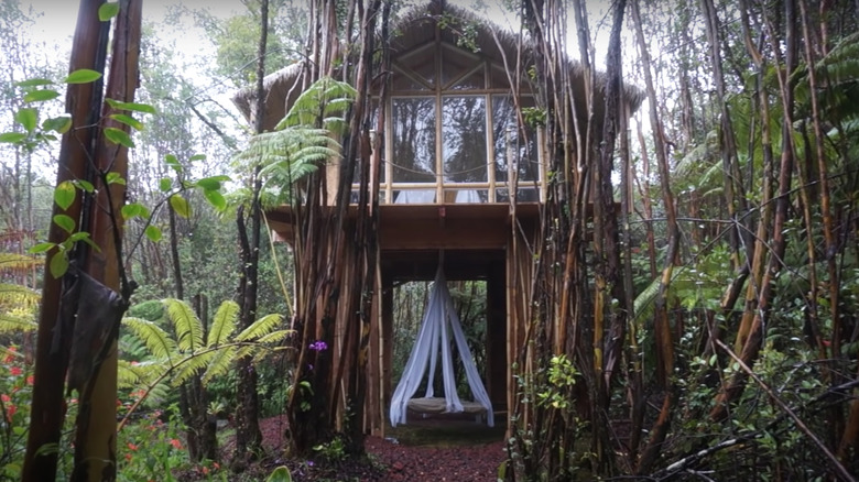 Tiny home in Hawaii