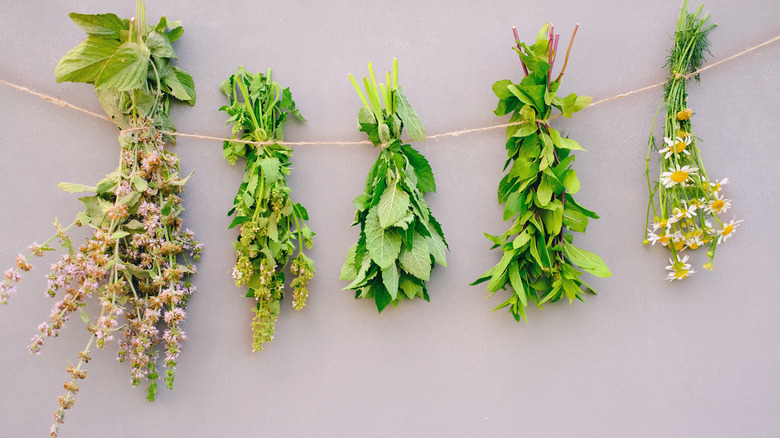 Herbs hanging to dry