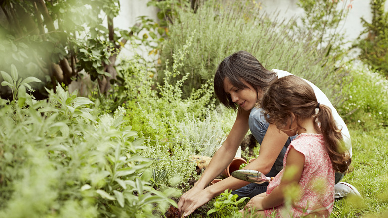 Woman and child gardening