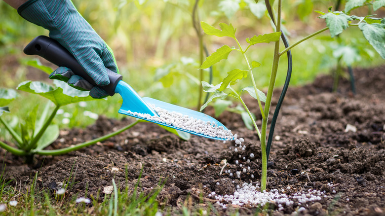 Trowel with granulated fertilizer