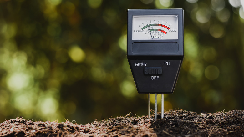 Fertility meter in soil