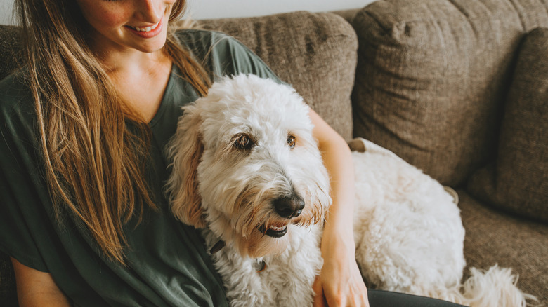 dog on couch with woman