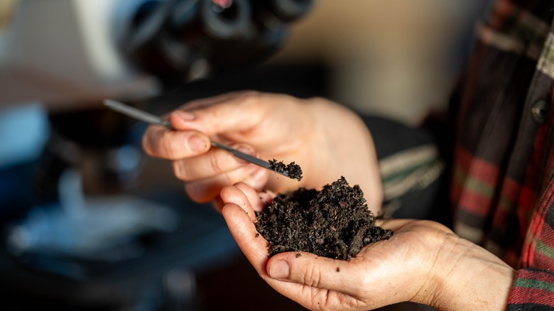 testing soil levels