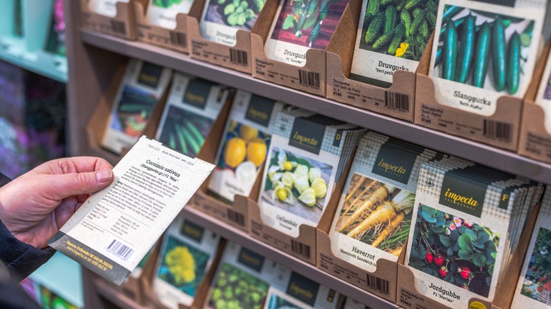 Reading instructions on seed packet