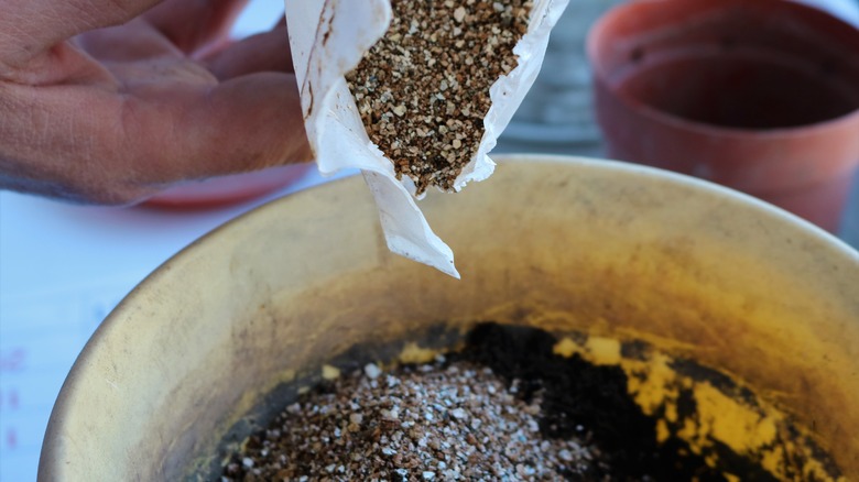 Person preparing germination mix