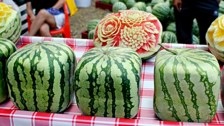 Japanese square watermelons