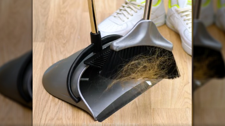 cleaning broom on brush bristles