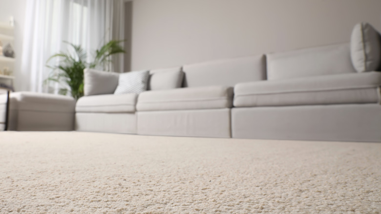 Carpet flooring in home