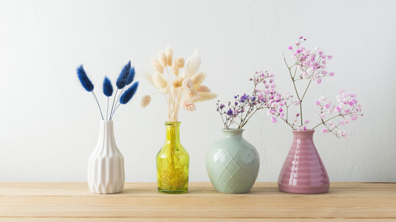 indoor plants on ceramic vases