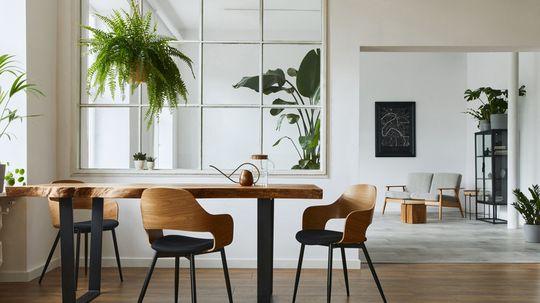 Fern hanging over table