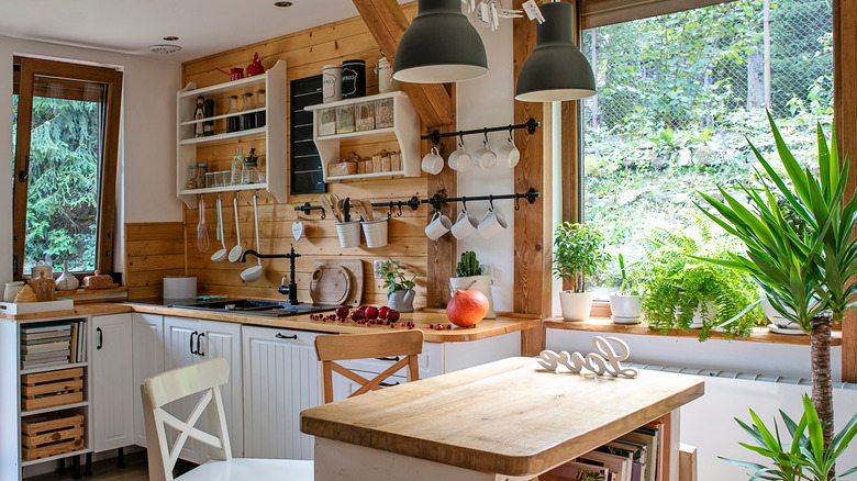 Rustic cozy kitchen