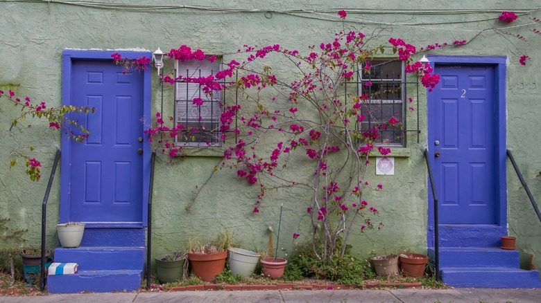 Periwinkle doors stucco building