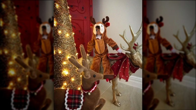 Elf with reindeer costume