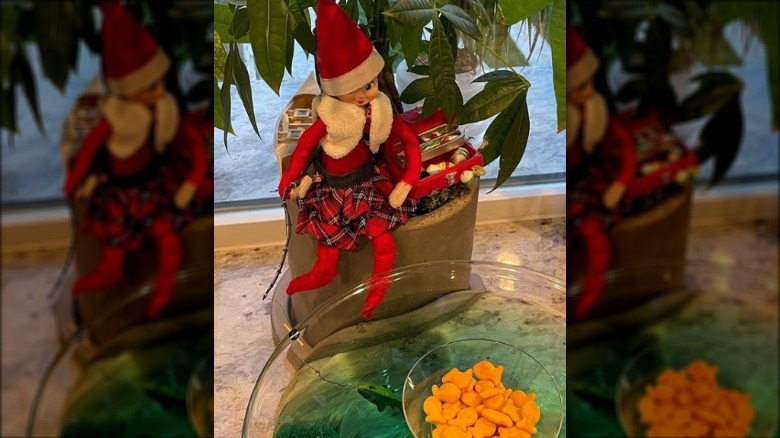 Elf fishing from a plant