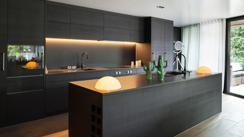 black kitchen cabinets with lights