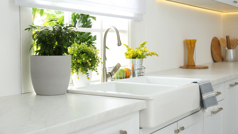 white farmhouse sink