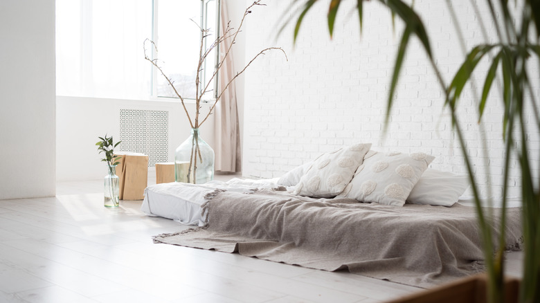 cozy mattress on the floor in a bright bedroom with plant decor