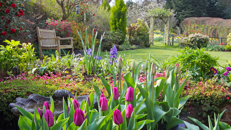 Lush country garden filled with flowers, tulips in the foreground, a bench, gate, lawn, and groundcovers growing between the larger plants