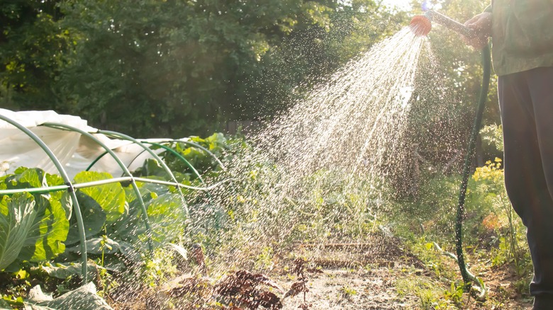 sprinkler hose garden DIY