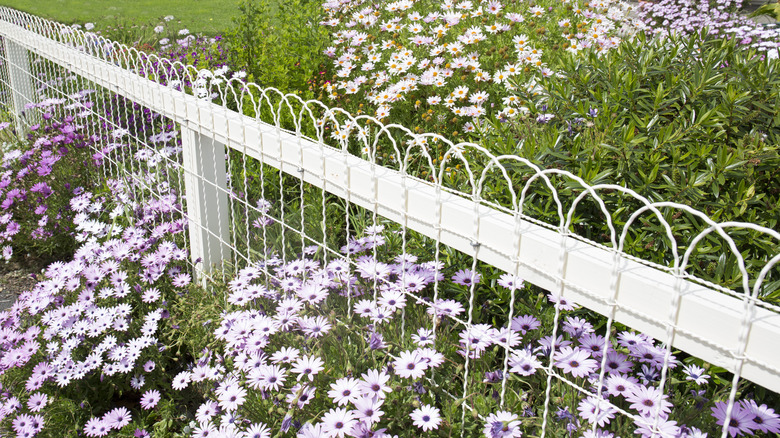 garden fence diy