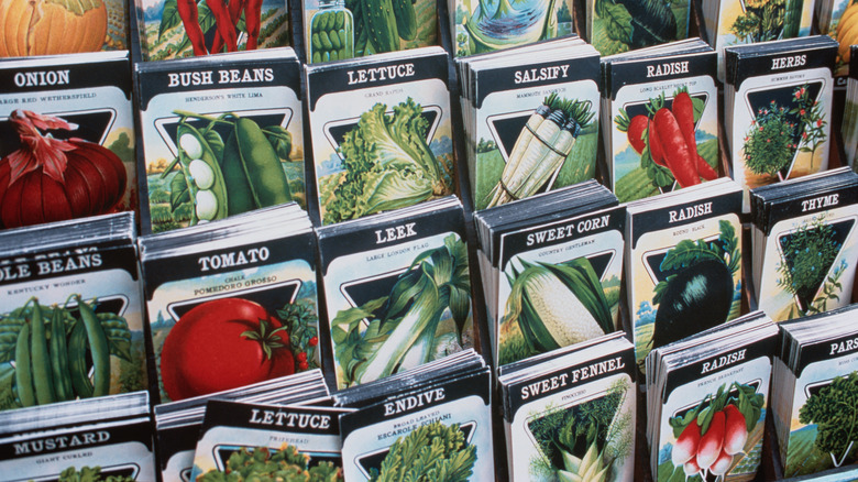 seed storage packets garden