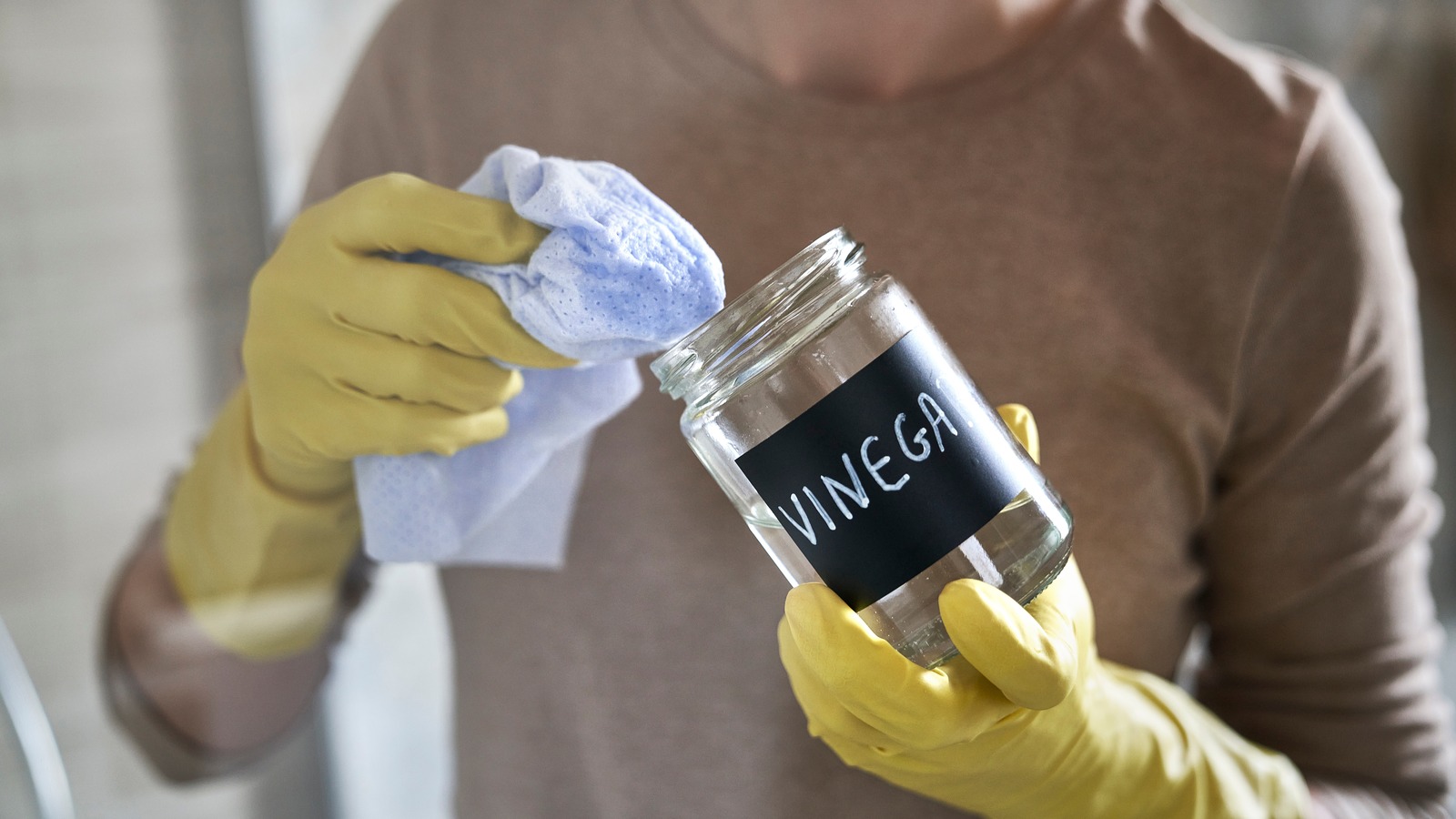 11 Brilliant Ways You Should Be Using Vinegar To Get Rid Of Pests