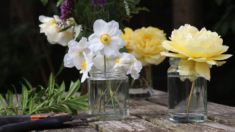 glass jars with flowers