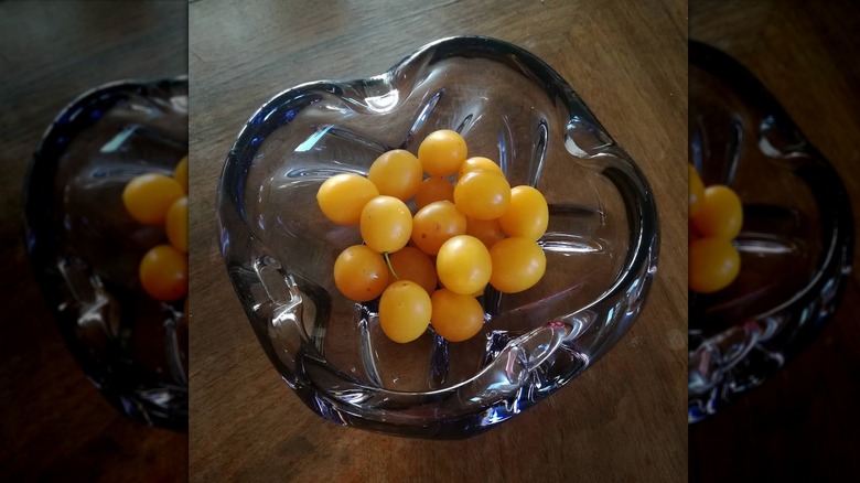 snacks in ashtray