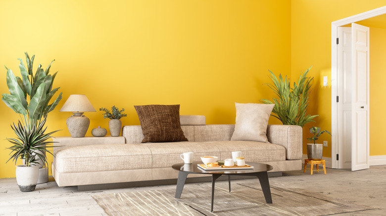 Modern living room interior with sofa, potted plants and yellow color wall