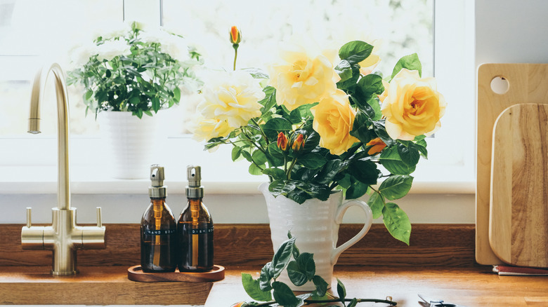 Yellow roses in vase on kitchen counter by sink