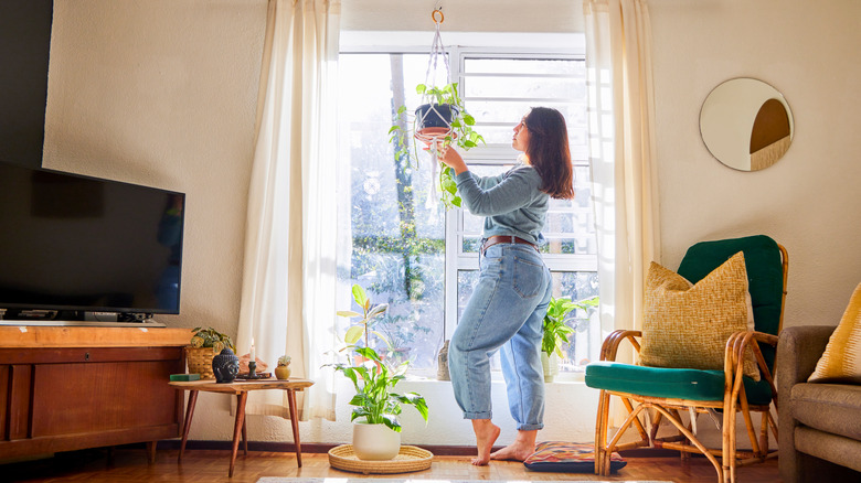 Woman hanging plants with curtain in front of window