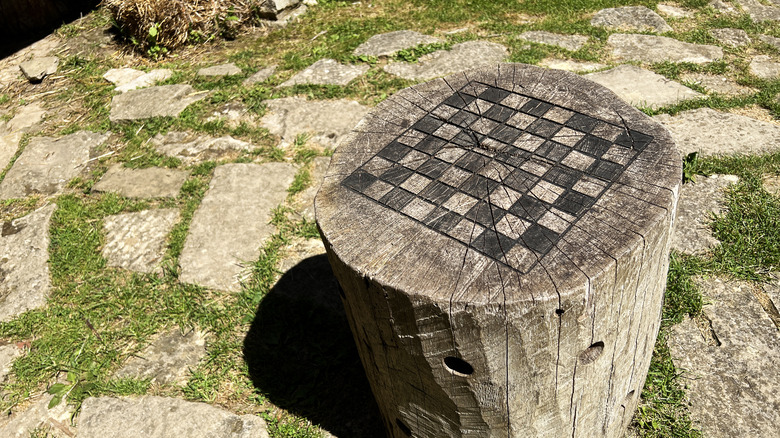 checker board painted on stump